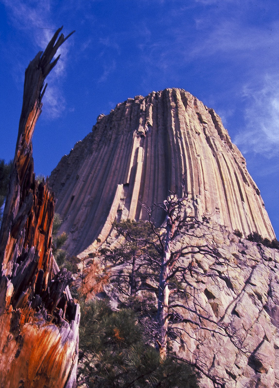 Snag And Devils Tower